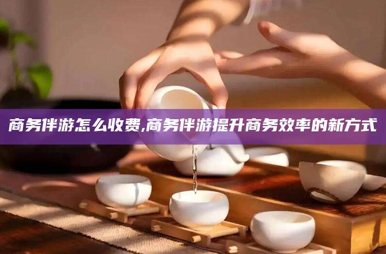 七台河商务伴游怎么收费,商务伴游提升商务效率的新方式